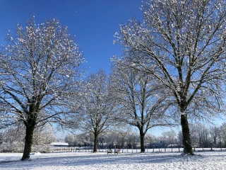Parc du gîte Le Benouchon sous la neige