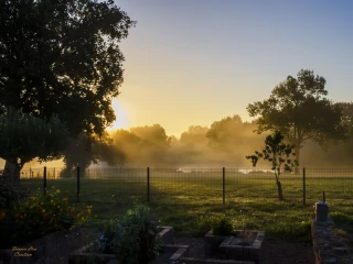 Brume au lever de soleil sur le jardin du gîte le Benouchon