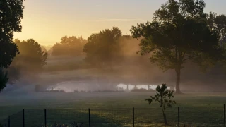 Brume matinale sur l'étang du gîte le Benouchon