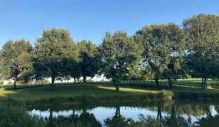 Parc reposant, arbres et étang du gîte le Benouchon
